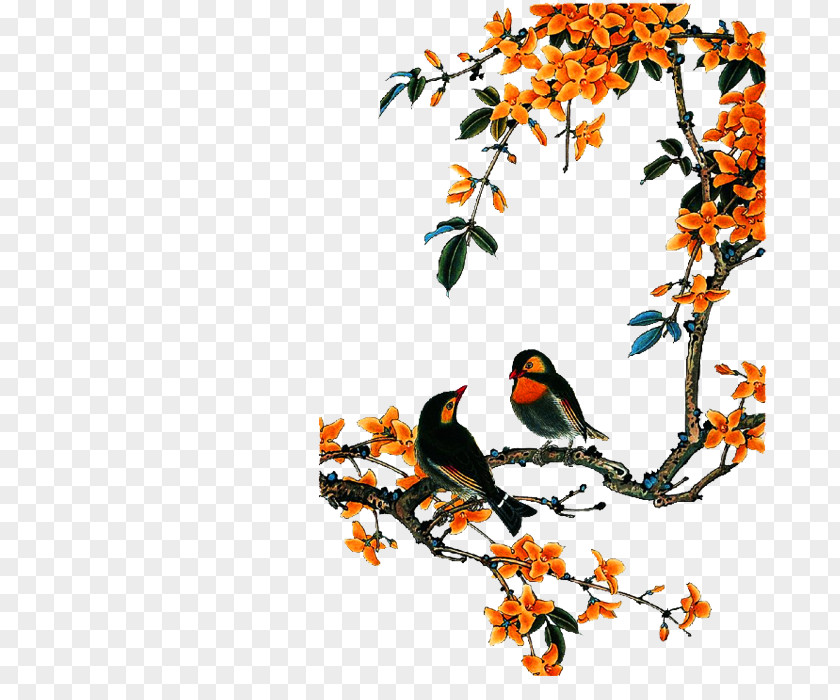Bird Tree Bird-and-flower Painting Chinese China Central Academy Of Fine Arts PNG