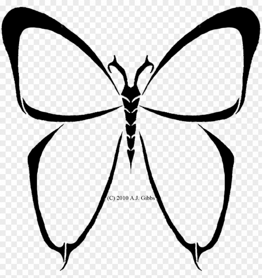 Butterfly Brush-footed Butterflies Insect Line Art Clip PNG