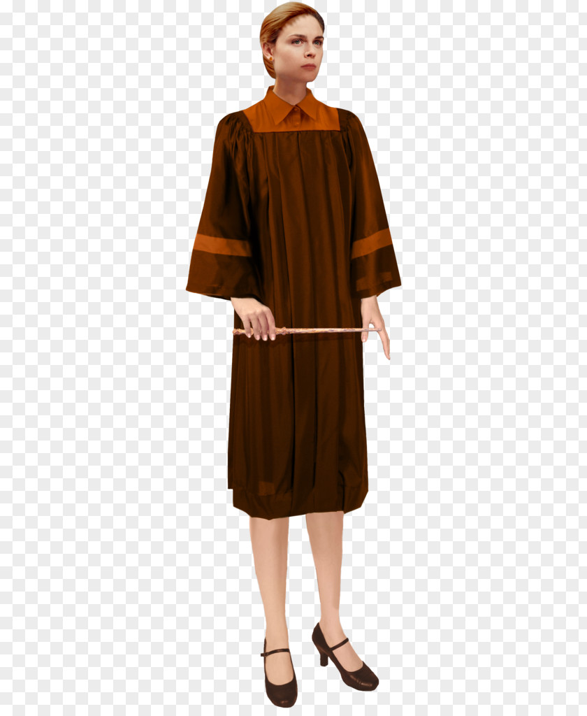 Dress Robe Academic Sleeve Clothing PNG