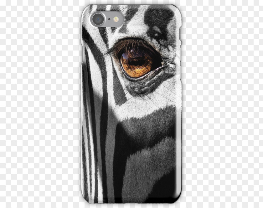 Eye Case Mammal Snout Beak White PNG