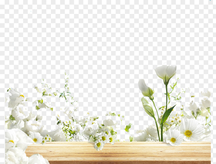 Flower Template Main Map Background JD.com Taobao Tagged Online Shopping NASDAQ:JD PNG