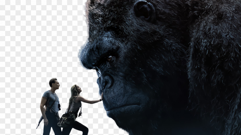 King Kong Ape Film Monster Uzbek Language PNG