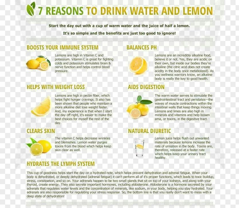 Lemon Tea Diet Detox Juice Drinking PNG
