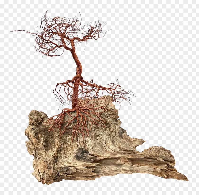 Modern Sculpture Art Driftwood PNG