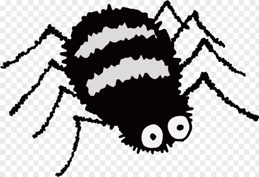 Pest Arachnid Spider Halloween PNG