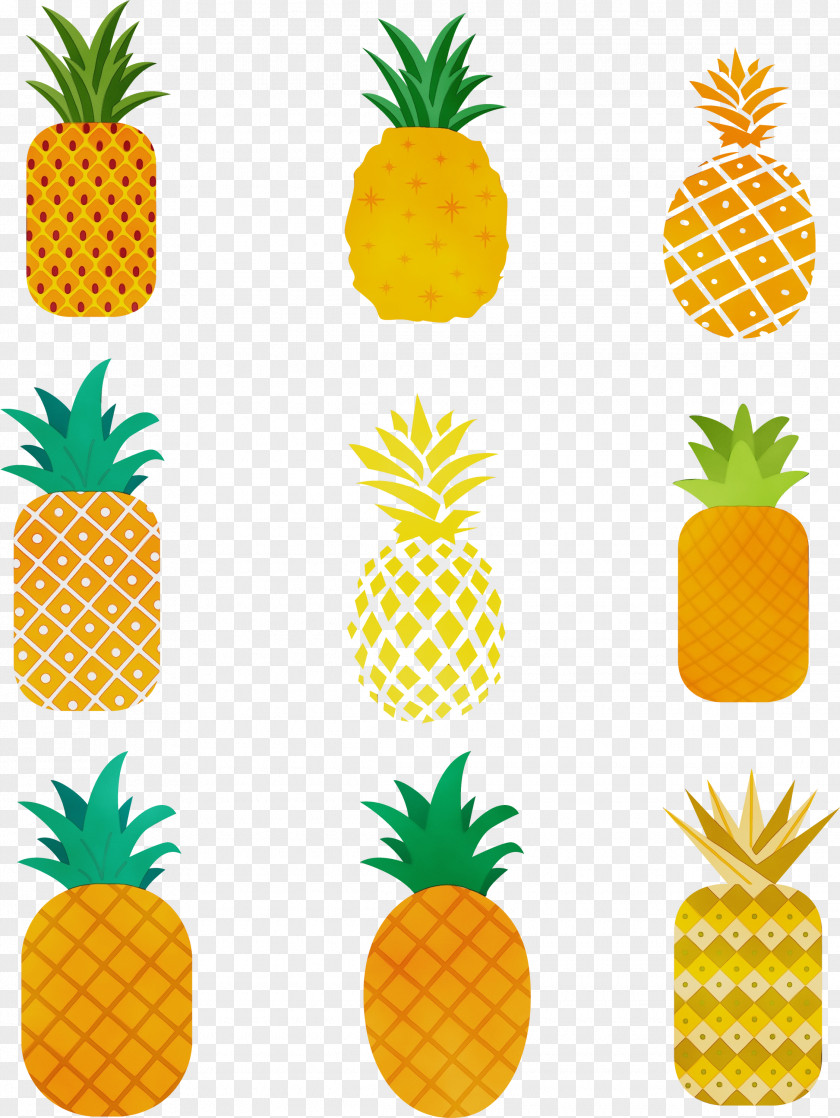 Poales Natural Foods Pineapple PNG