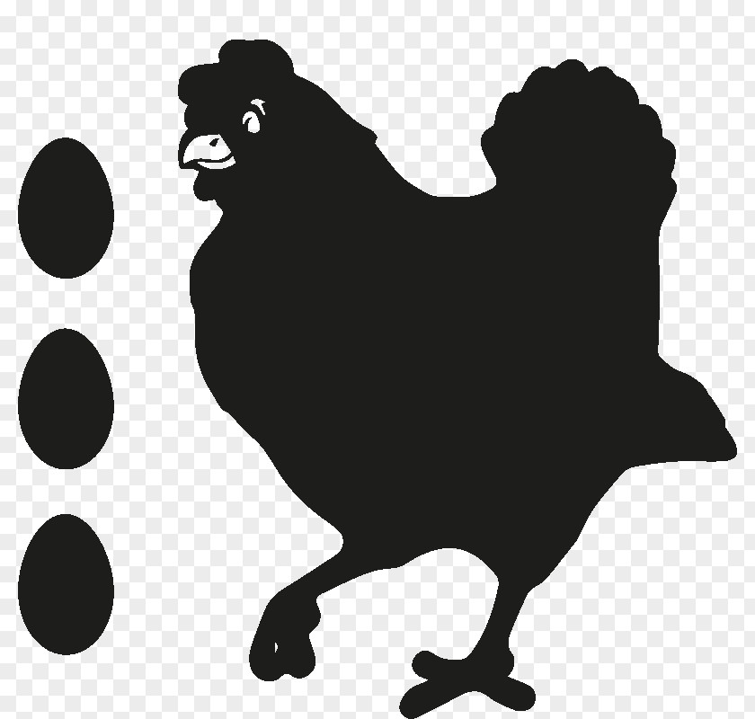 Rooster Brahma Chicken Hen Drawing PNG