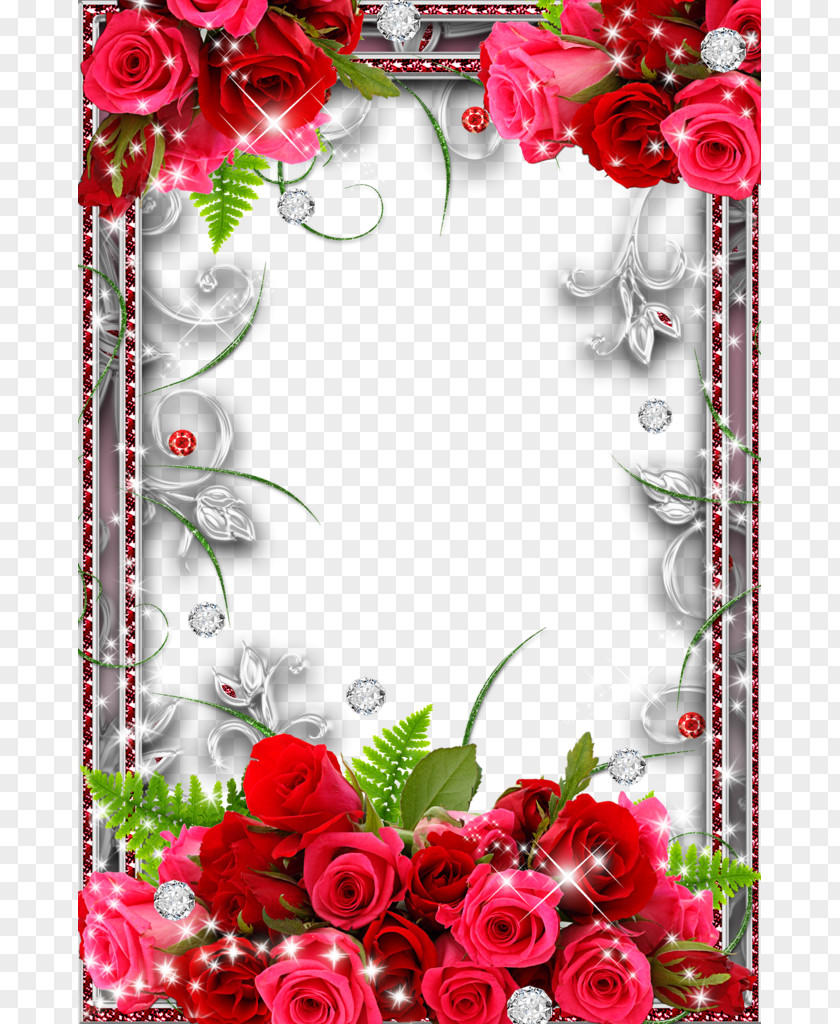 Rose Border Stock Photos PNG border stock photos clipart PNG