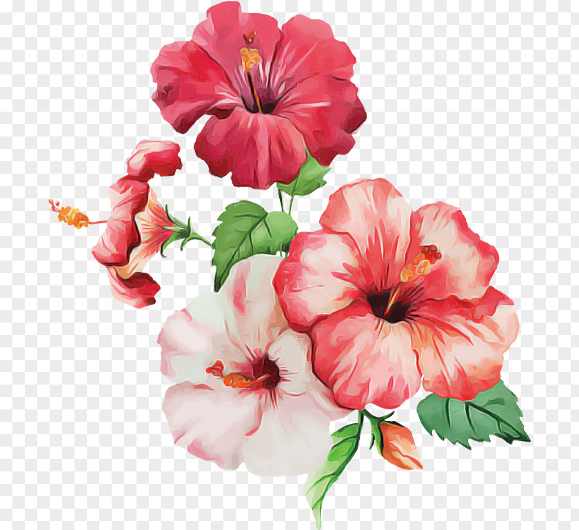 Shoeblackplant Hawaiian Hibiscus Watercolor Painting Flower Petal PNG