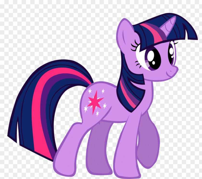 Twilight Sparkle My Little Pony Rarity Pinkie Pie PNG
