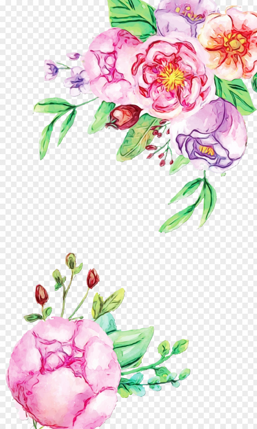 Watercolor Painting Floral Design Rose Flower PNG