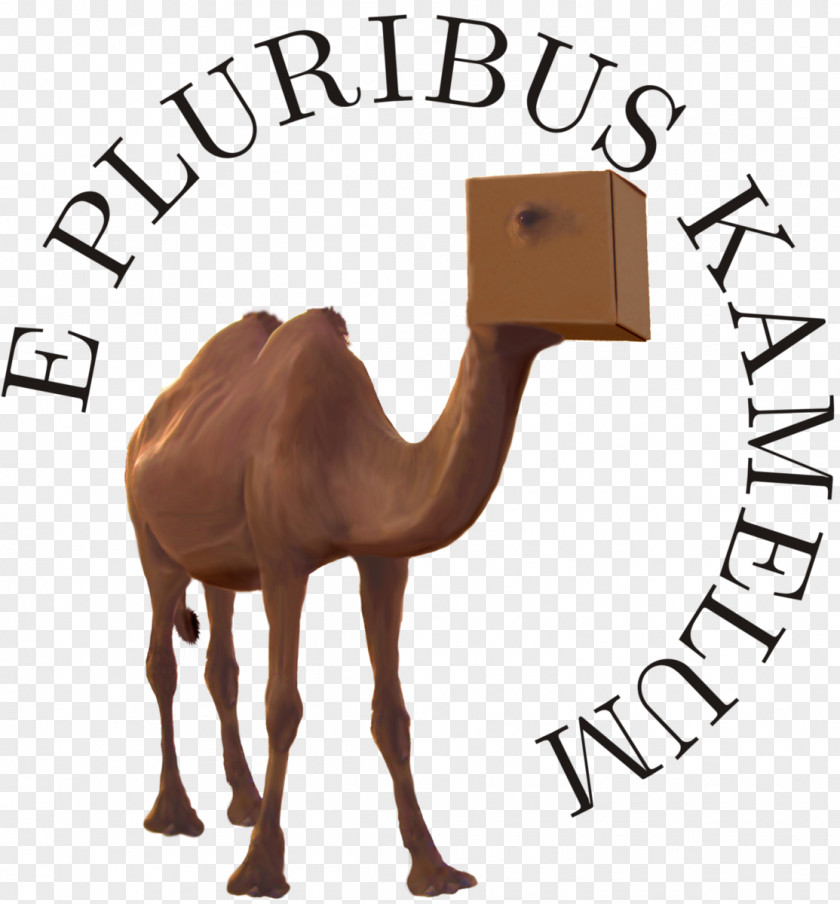 Dromedary Kamelopedia Wikipedia Logo Camel PNG