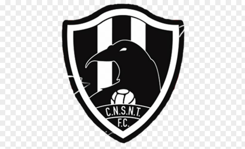 Football Mexico Liga MX Common Raven Jersey PNG