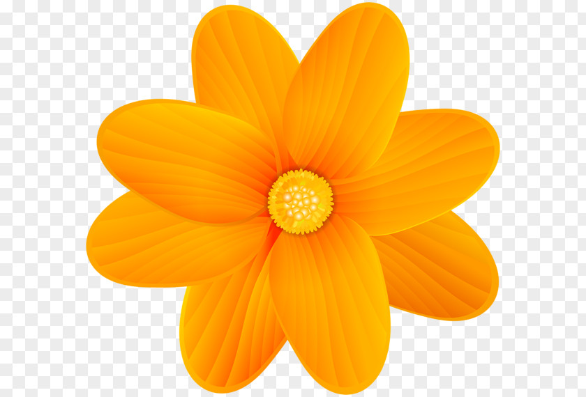 Orange Flower Yellow Clip Art PNG