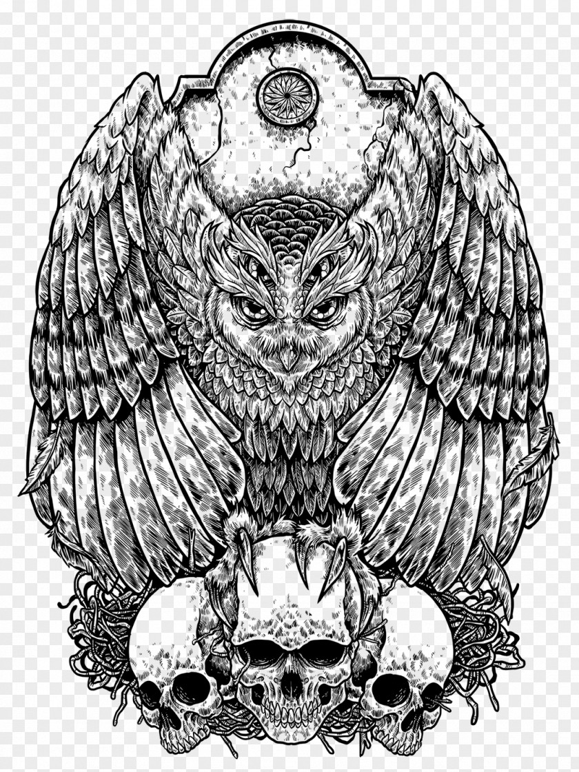 Owl Drawing Tattoo PNG