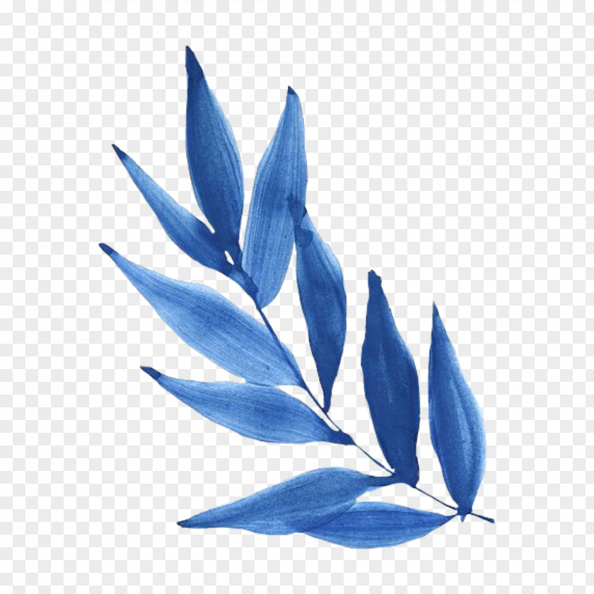 Perennial Plant Flower Leaf Blue PNG