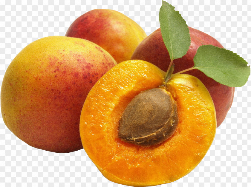 Apricot Clipart Vaisiaus Kauliukas Kernel Amygdalin Kompot PNG