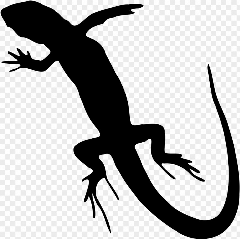 Bearded Dragon Lizard Reptile Clip Art PNG