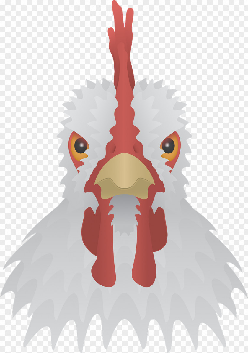 Chicken T-shirt Poultry Farming Livestock PNG
