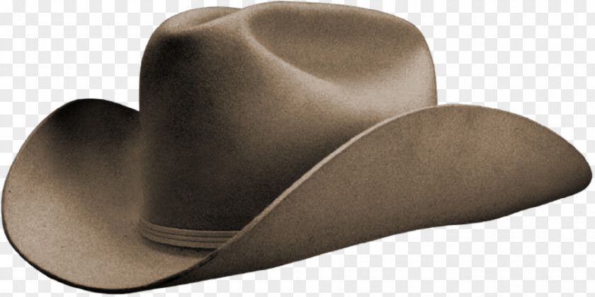 Hat Cowboy Stetson PNG