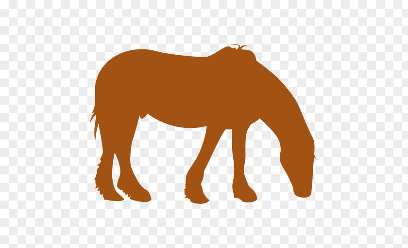 Mustang Vector Graphics Pony Stallion Illustration PNG