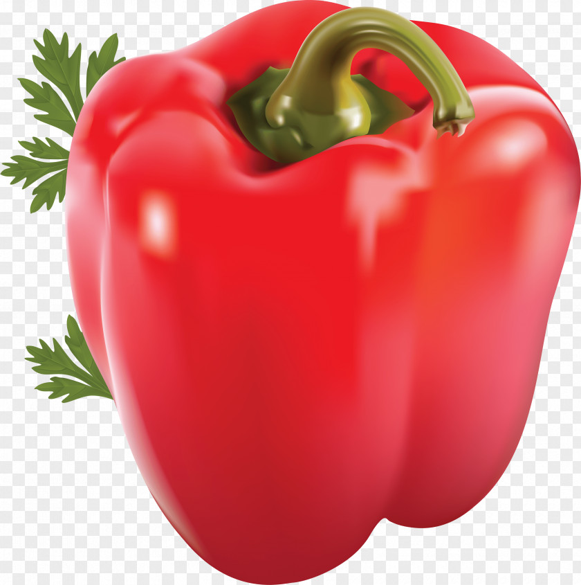 Natural Foods Bell Pepper Pimiento Red Vegetable PNG