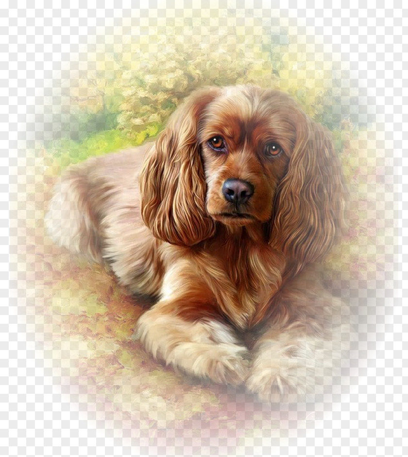 Painting English Cocker Spaniel Paint By Number Drawing Cavalier King Charles PNG