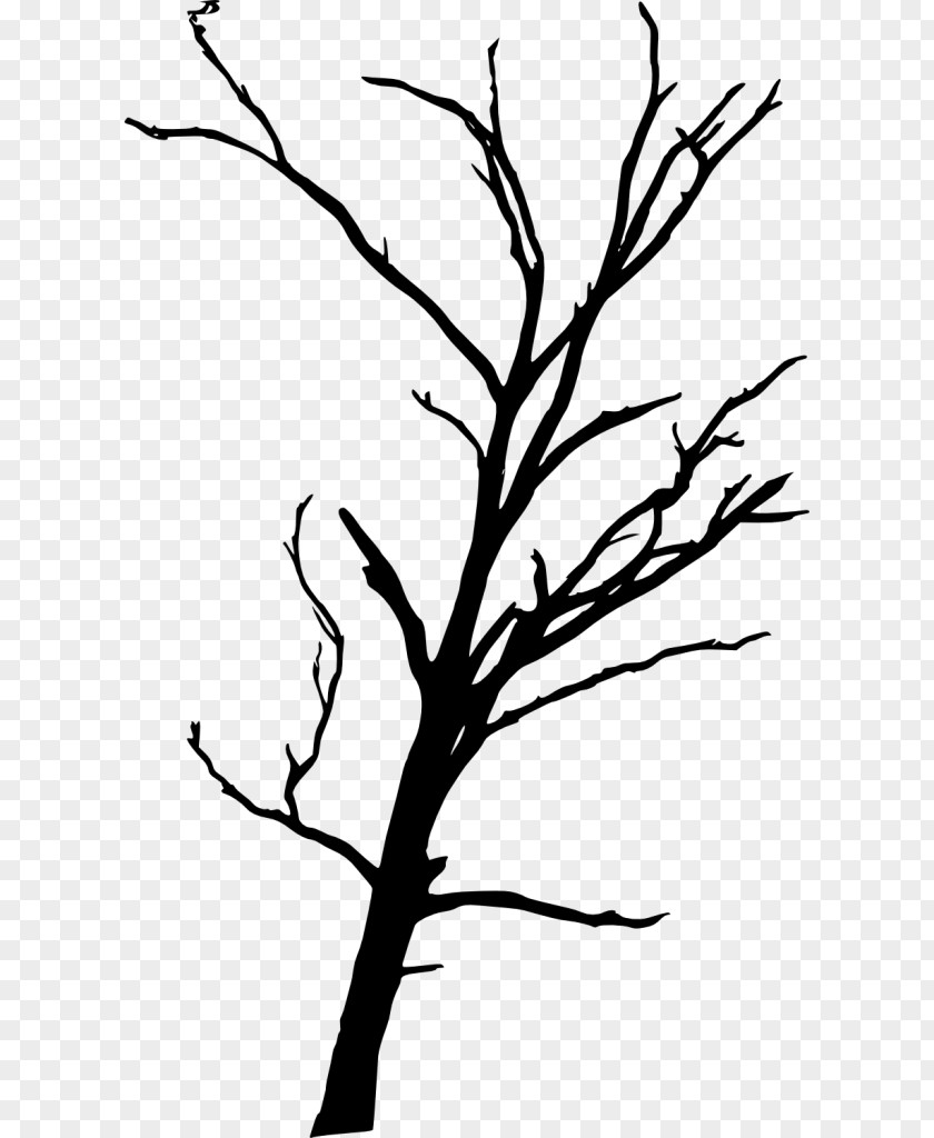 Silhouette Twig Drawing Clip Art PNG