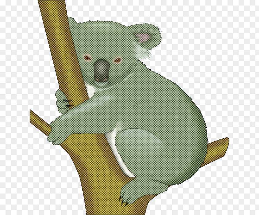 Koala Cartoon Bear Green Snout PNG