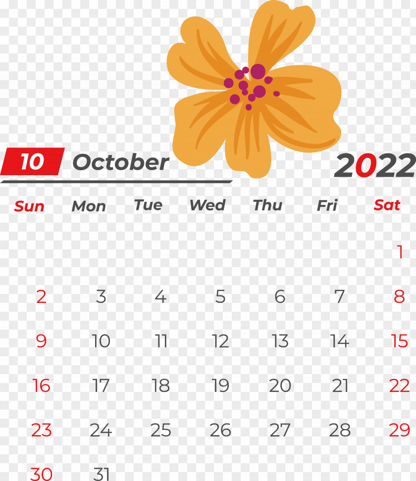 Line Calendar Flower Meter Geometry PNG