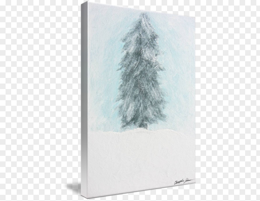 Pine Watercolor Spruce Winter Sky Plc PNG