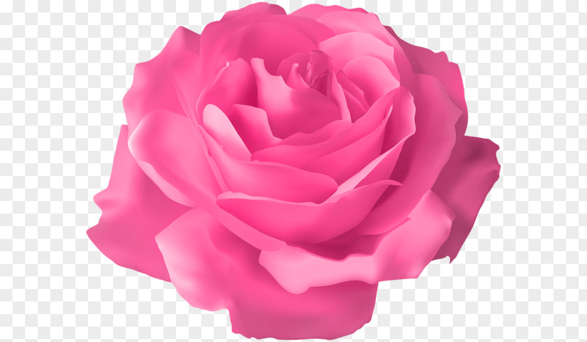 PINK Pin Rose Flower Clip Art PNG