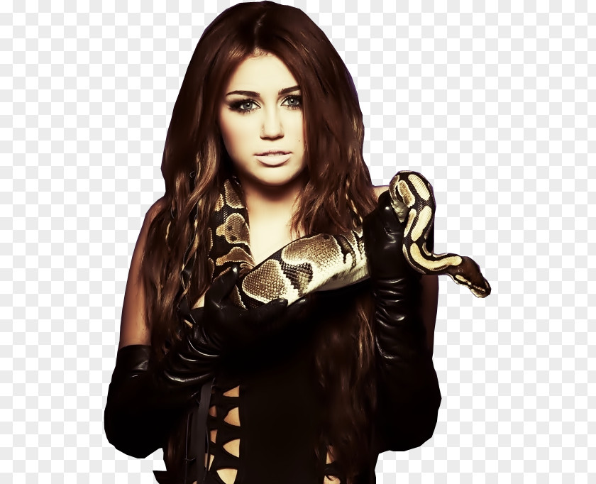Principal Miley Cyrus Can't Be Tamed Gypsy Heart Tour Bangerz Album PNG
