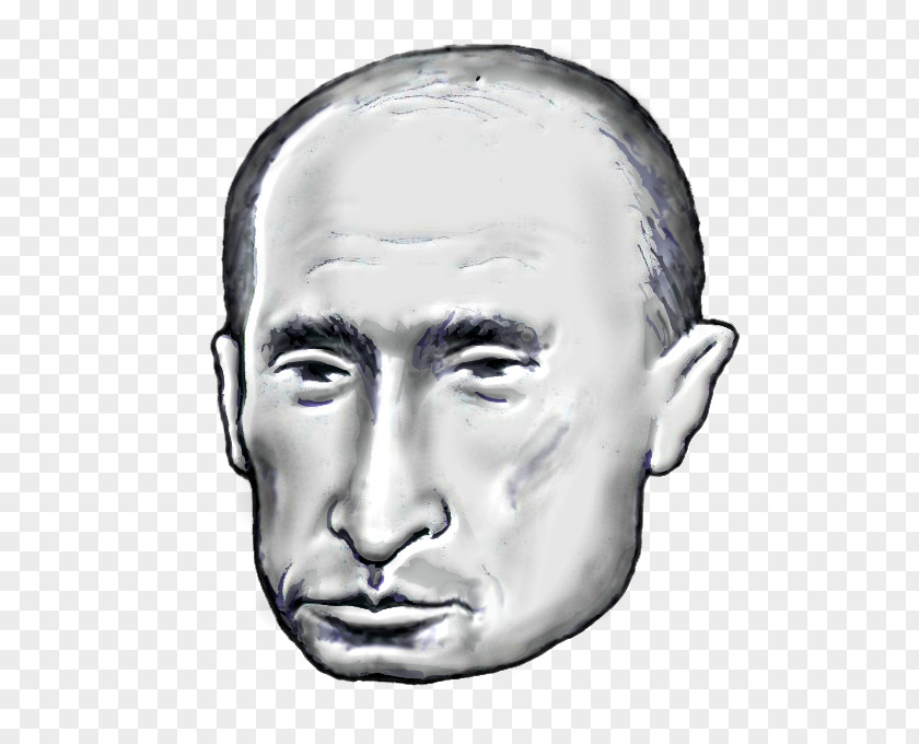Vladimir Putin Cheek Chin Facial Expression Hair Forehead PNG