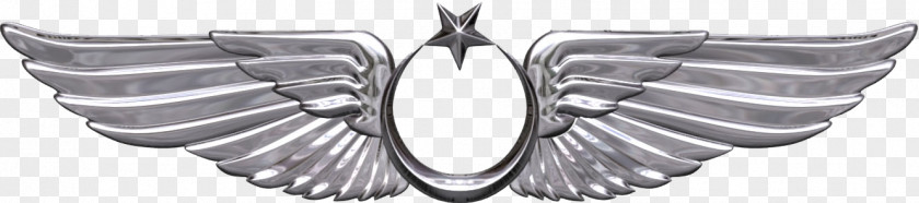 Army Aviation Wings Regulation Bröve Turkish Air Force Aircraft Pilot Military PNG