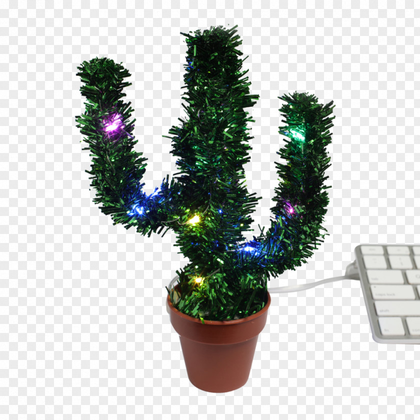 Cactus Creative Schlumbergera Fir Light Saguaro Christmas PNG