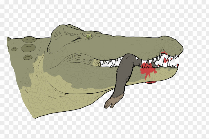 Crocodiles Crocodylus Anthropophagus Voay Art Predation PNG