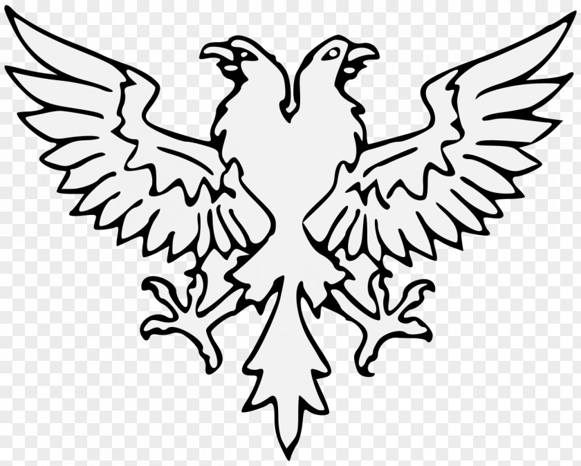 Eagle Heraldry Beak Clip Art Bald PNG