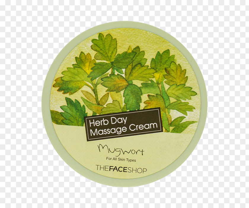 Mugwort The Face Shop HERB DAY Cleansing Foam Aloe Massage Suwon Cosmetics PNG