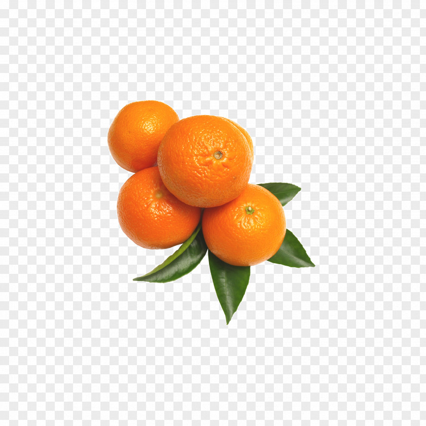 Orange Fruit Mandarin Grape Auglis PNG