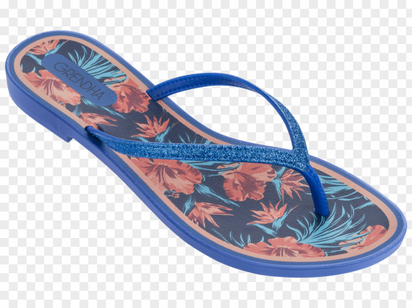 Acai Illustration Flip-flops Slipper Shoe Sandal Inspire II PNG
