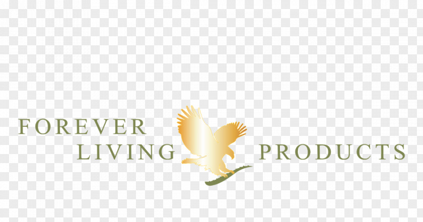 Aloe Vector Forever Living Products Cdr Vera PNG