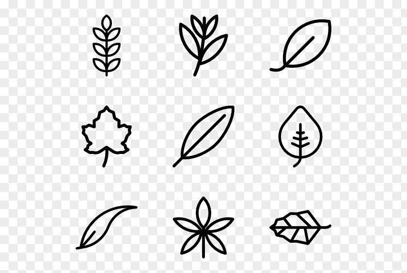 Money Tree Leaf Drawing Clip Art PNG