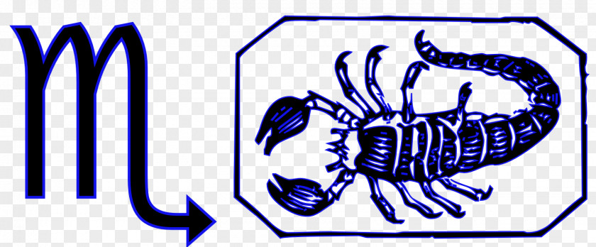 Scorpio Astrology Astrological Sign Symbol Zodiac PNG