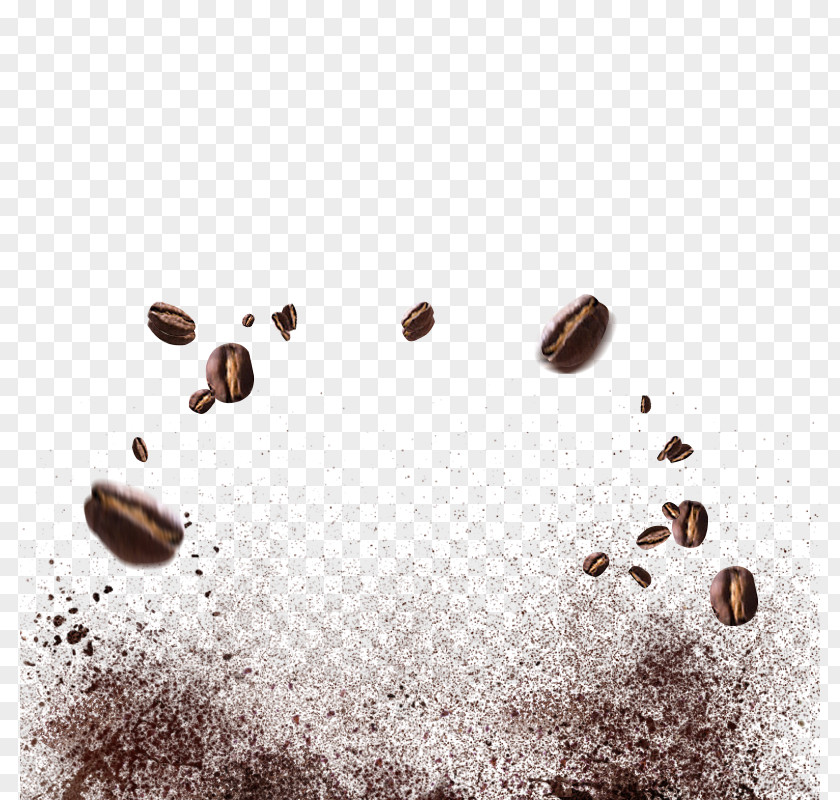 Splash Of Coffee Beans PNG of coffee beans clipart PNG