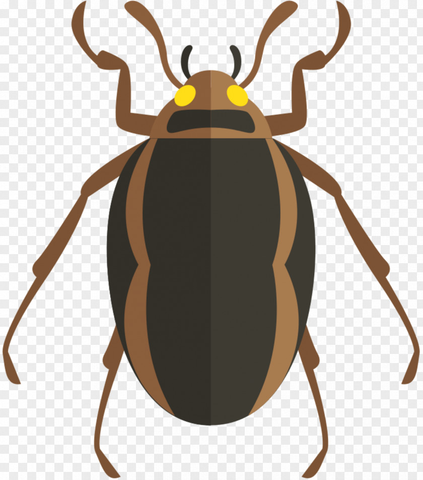 Vector Graphics Beetle Image Cockroach PNG