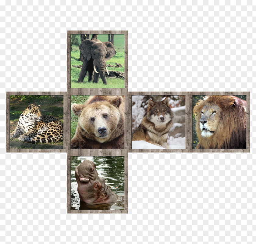 Watercolor Animals Animal Wildlife V-Cube 7 Rubik's Cube PNG