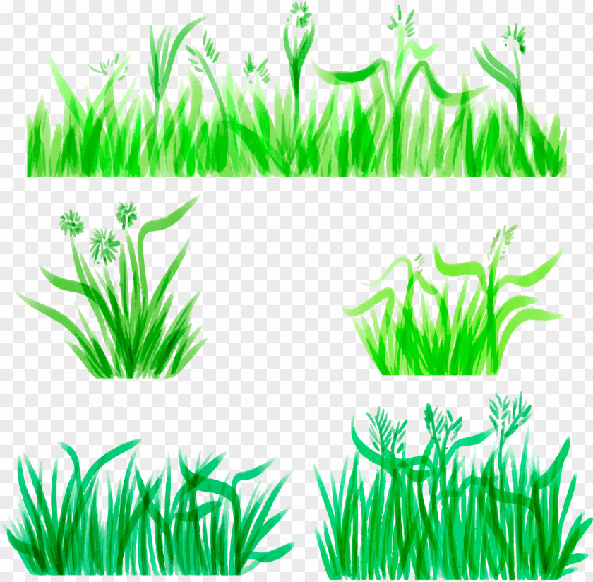 Watercolor Pen Grass Decoration Borders Painting Download PNG