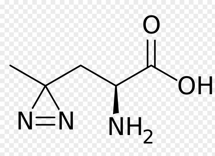Amino Acid Histidine Alanine Lysine Methyl Group PNG