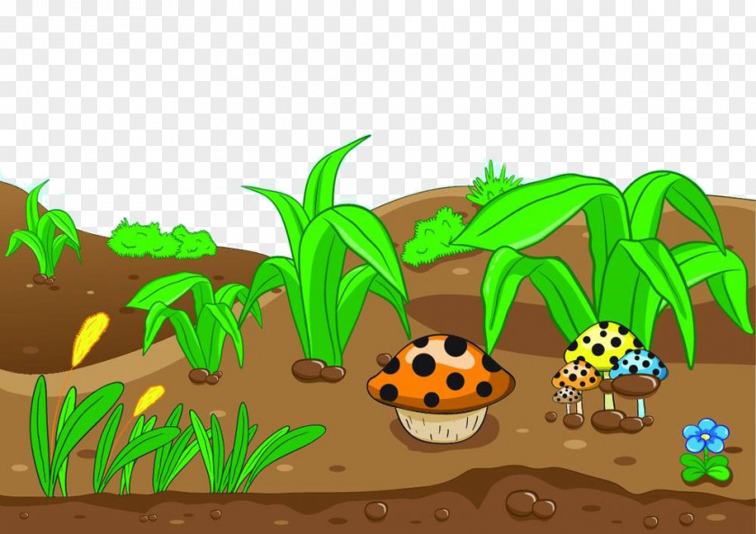 Cartoon Grass Mushrooms Royalty-free Clip Art PNG